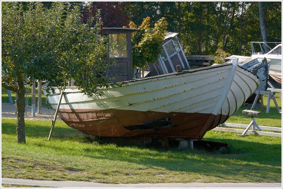 DSC 9669