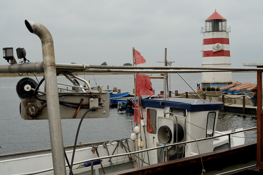 DSC 9683a