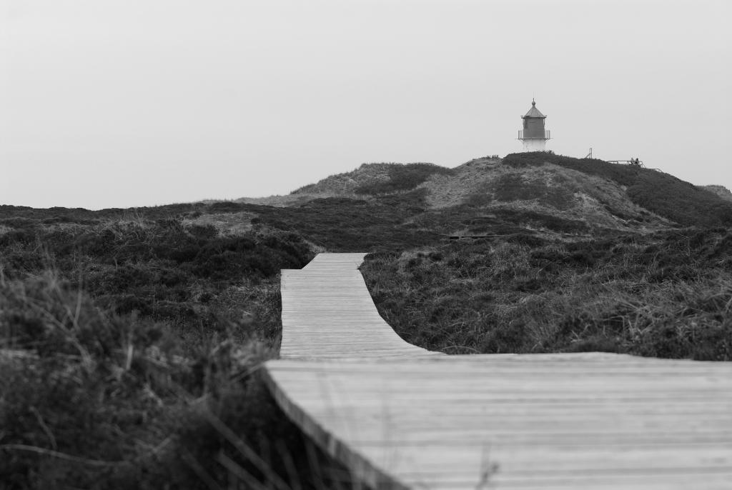 DSC 9718bw