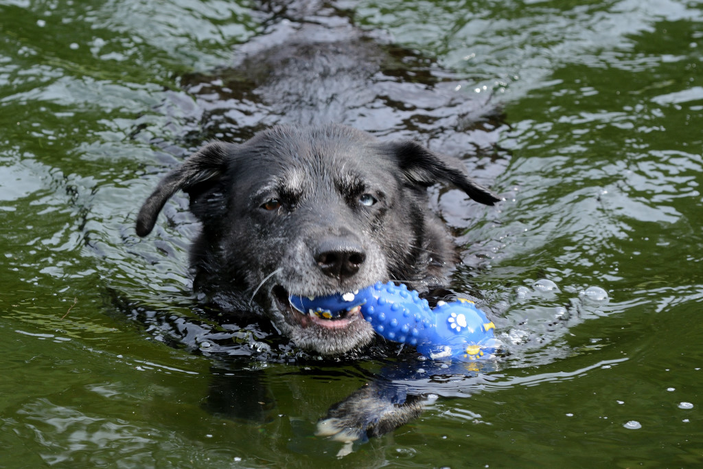 DSC 9765