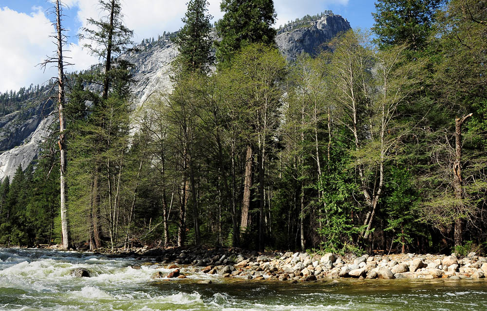 DSC 9783 Merced River und Gacier Point 1000