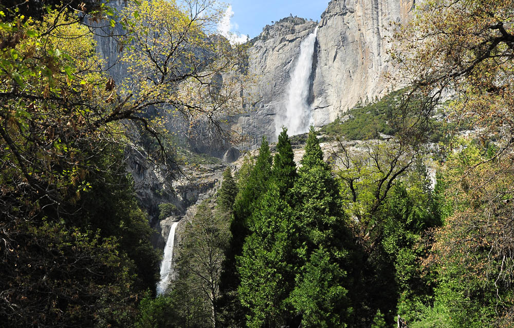 DSC 9865 Yosemite Falls 1000