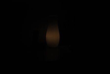DSC 9890
