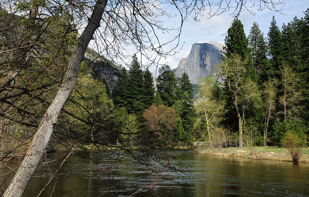 DSC 9907 Merced River Half Dome 1000