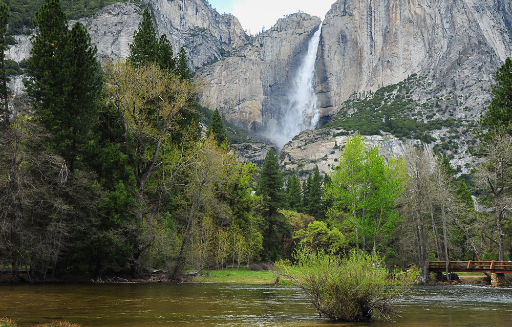 DSC 9910 Yosemite Falls 1000