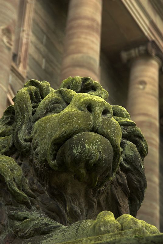 DSC D224578