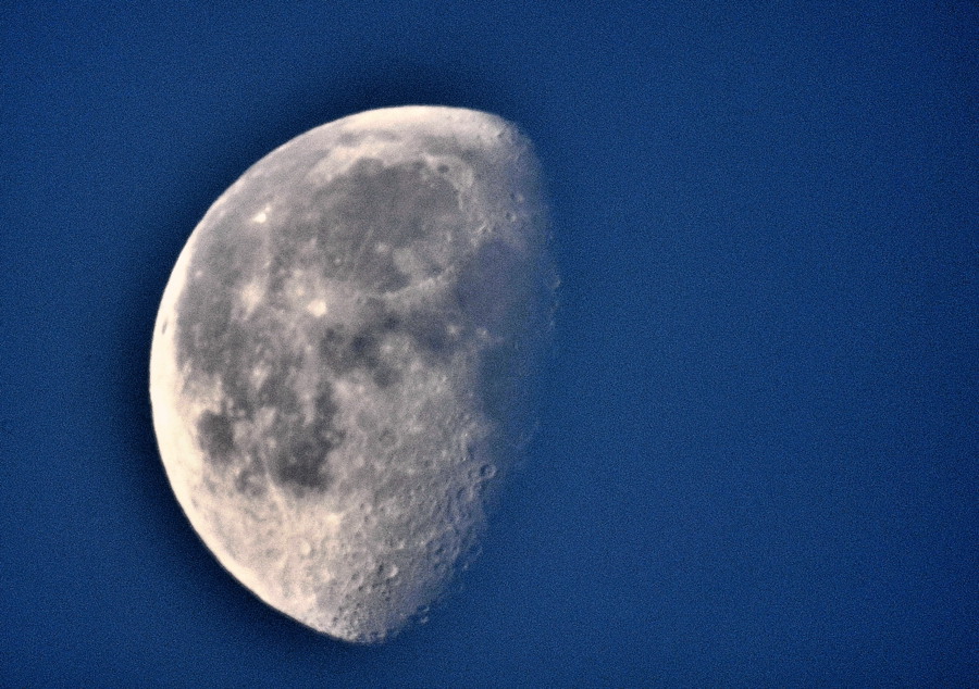 DSC0018j