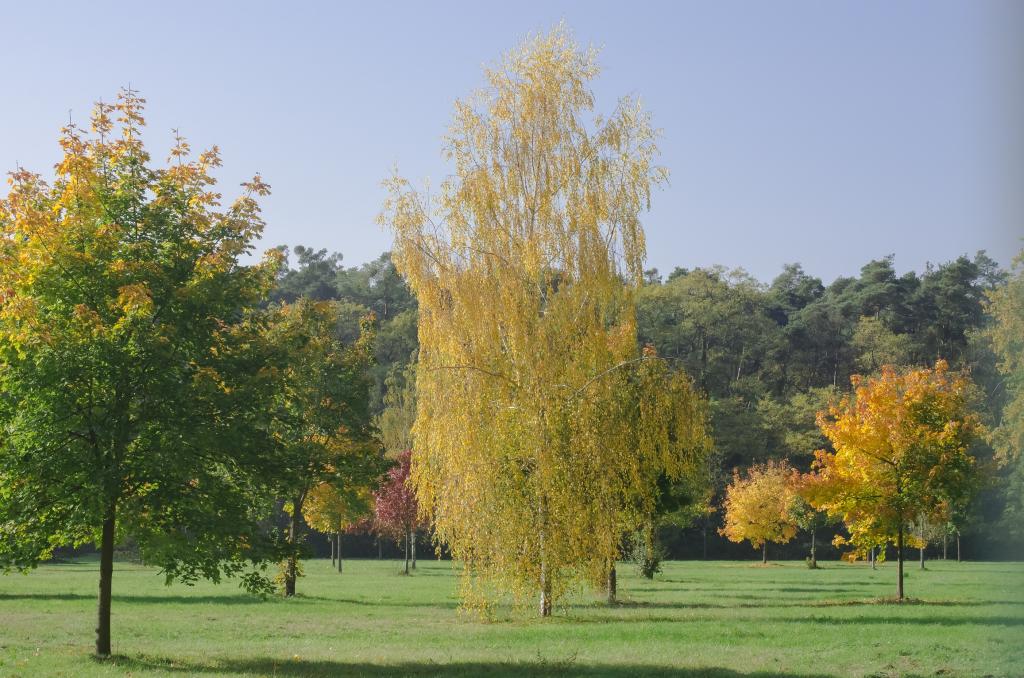 DSC0041