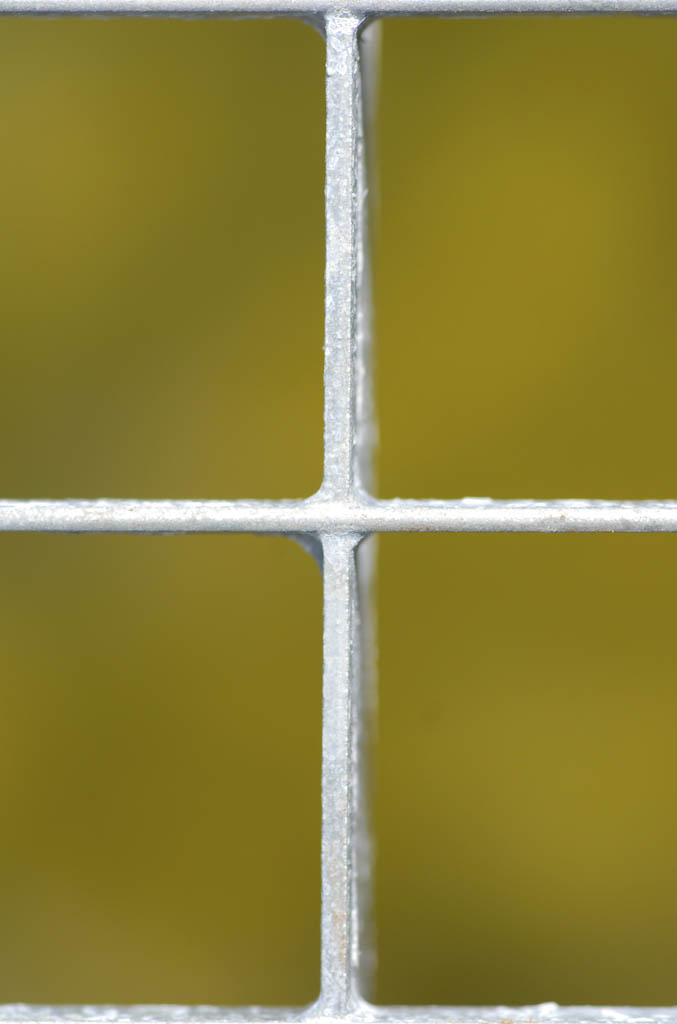 DSC0051a