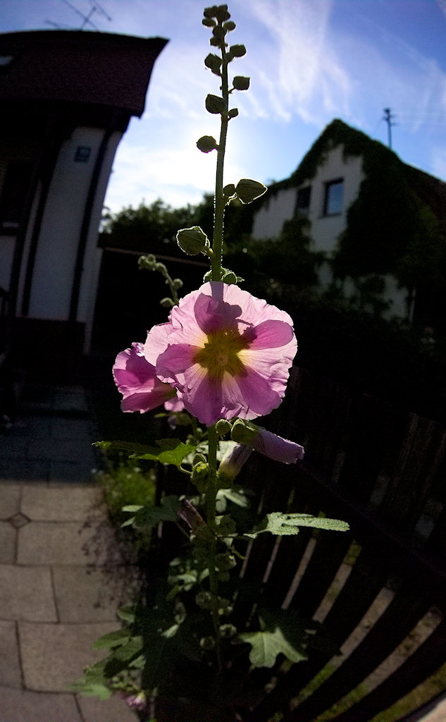 DSC00715