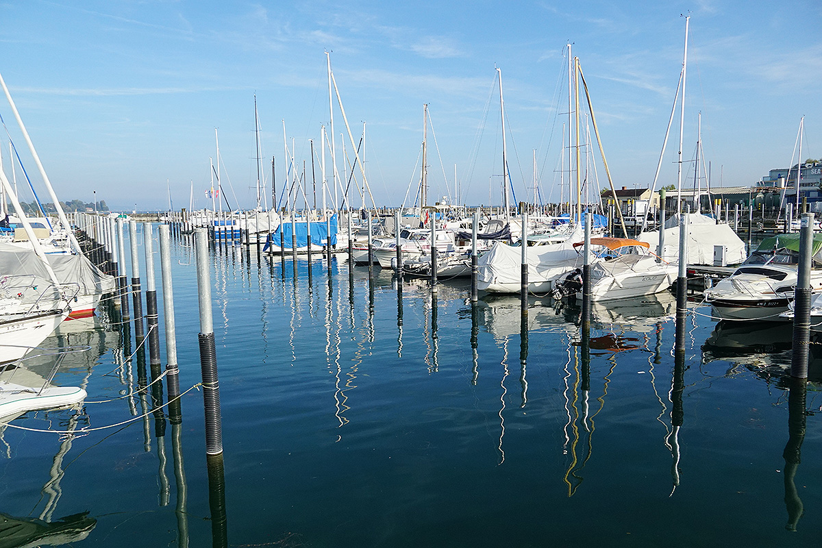 DSC00748.JPG