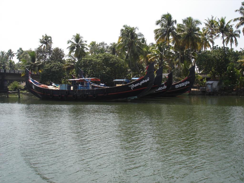 DSC00779