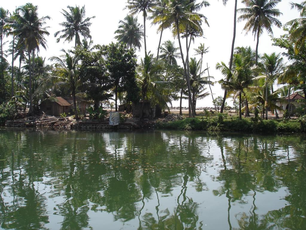 DSC00782