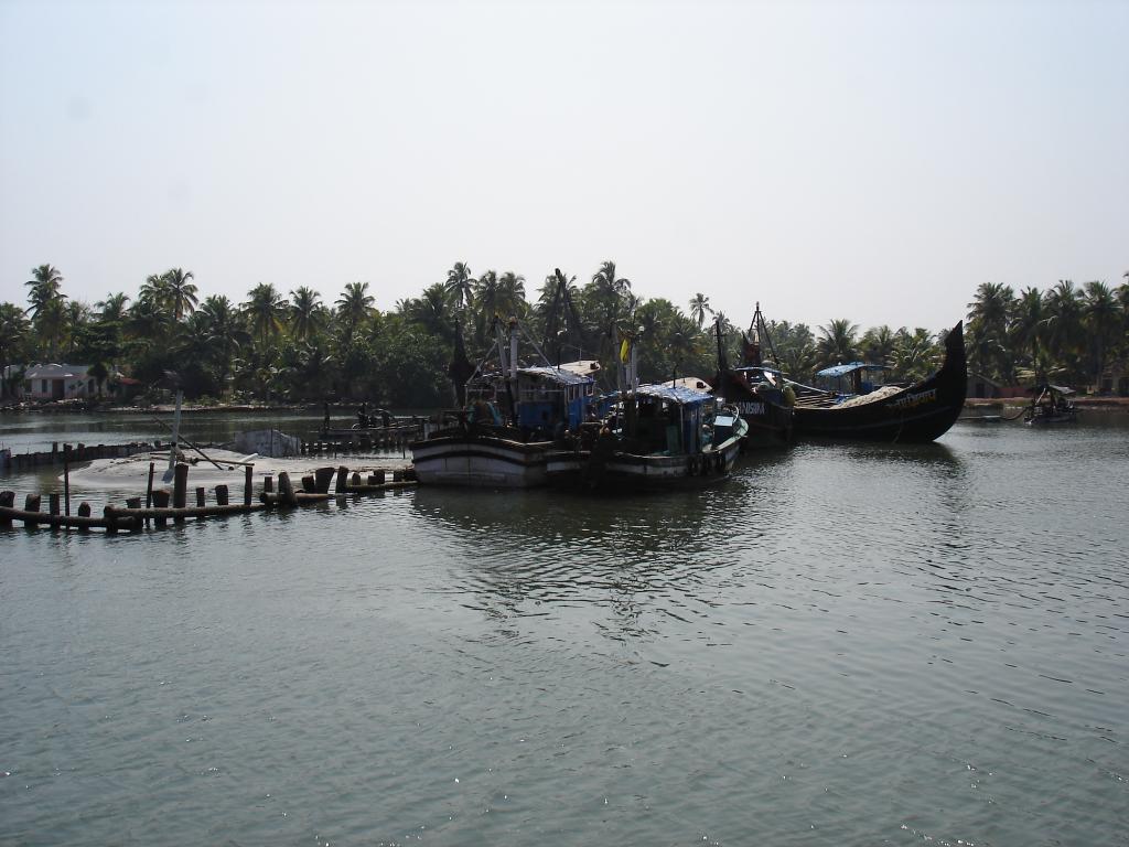 DSC00787