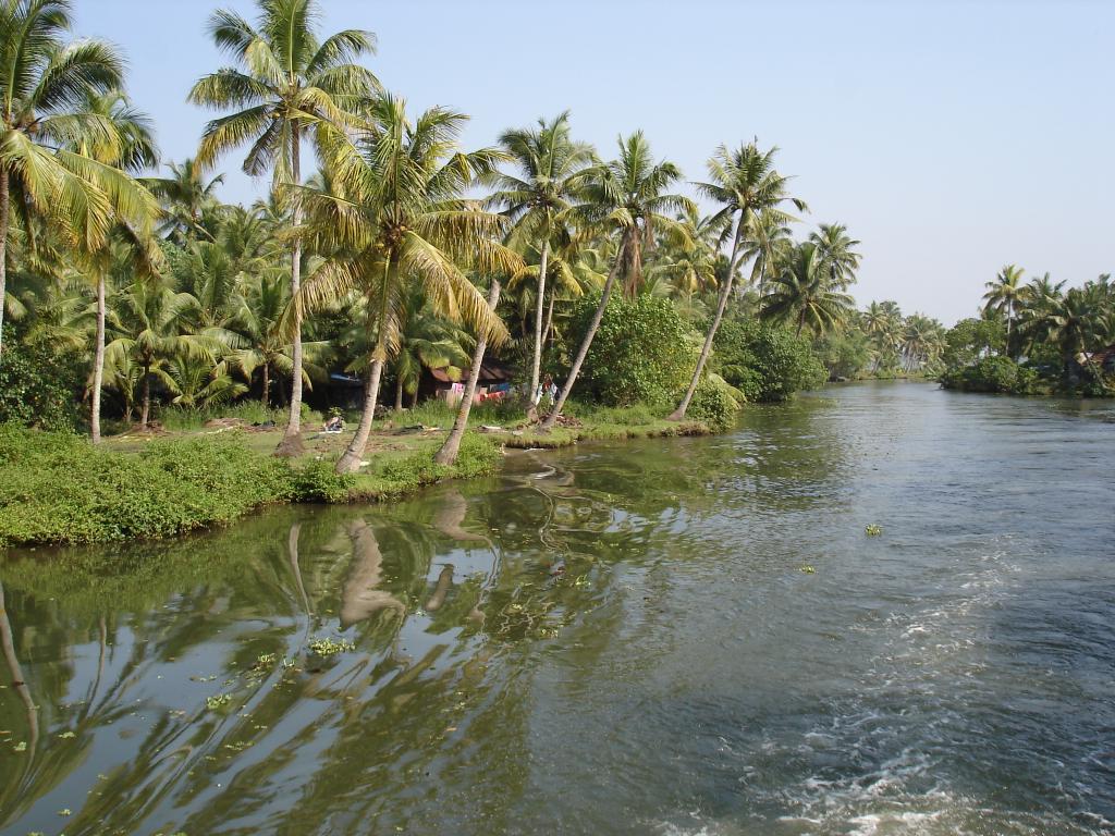 DSC00795
