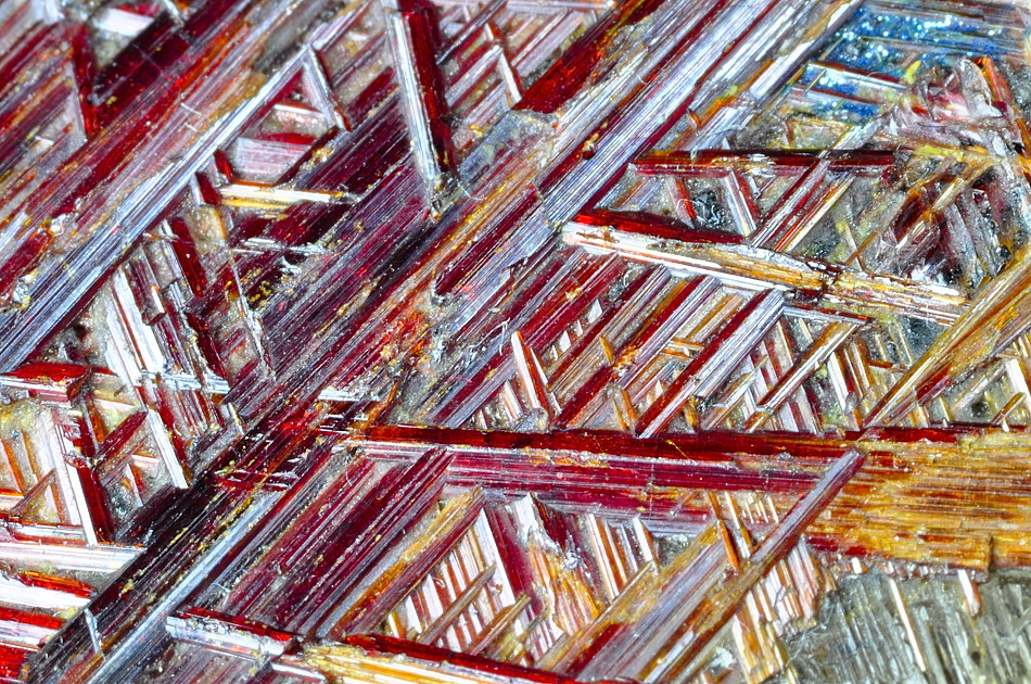 DSC0095