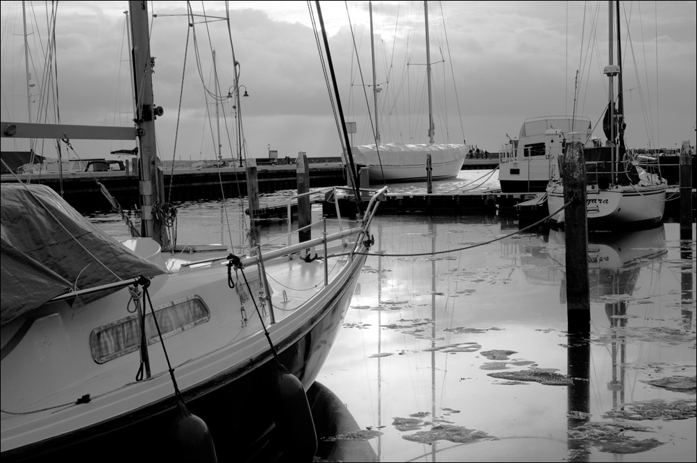 DSC01188bw