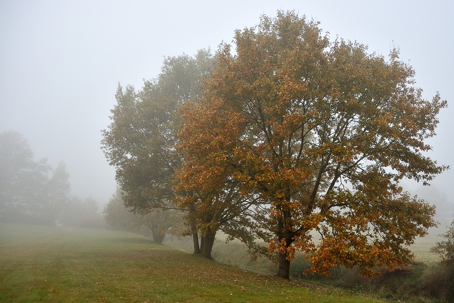 DSC0125