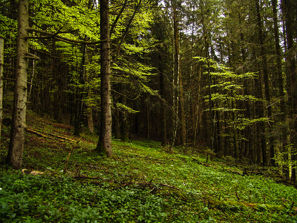 DSC01309-Edit.jpg