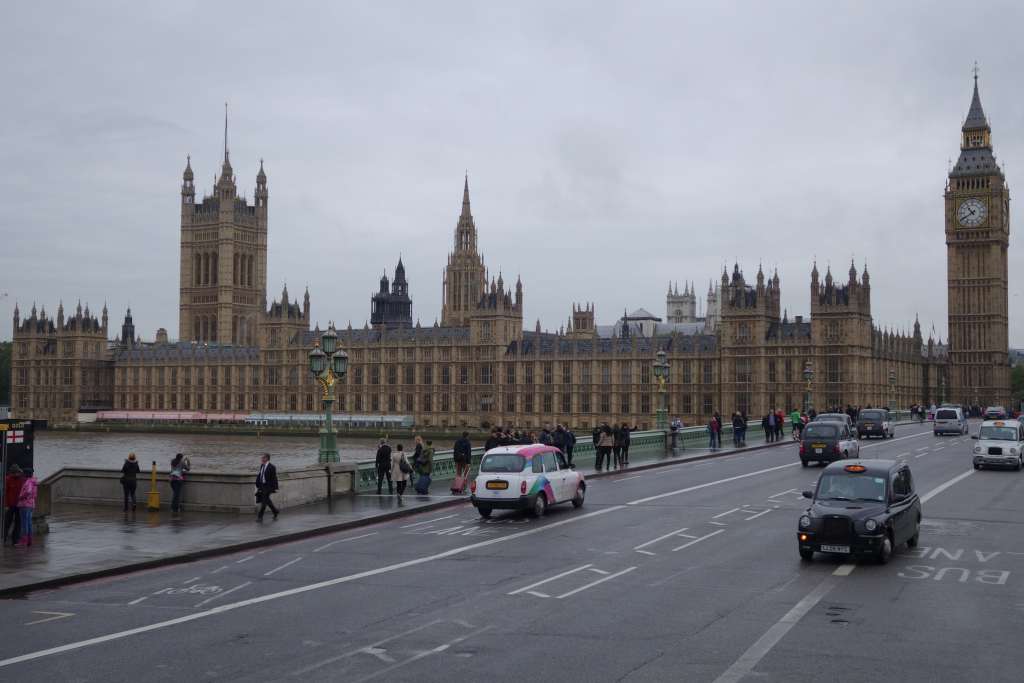 DSC01361 01
