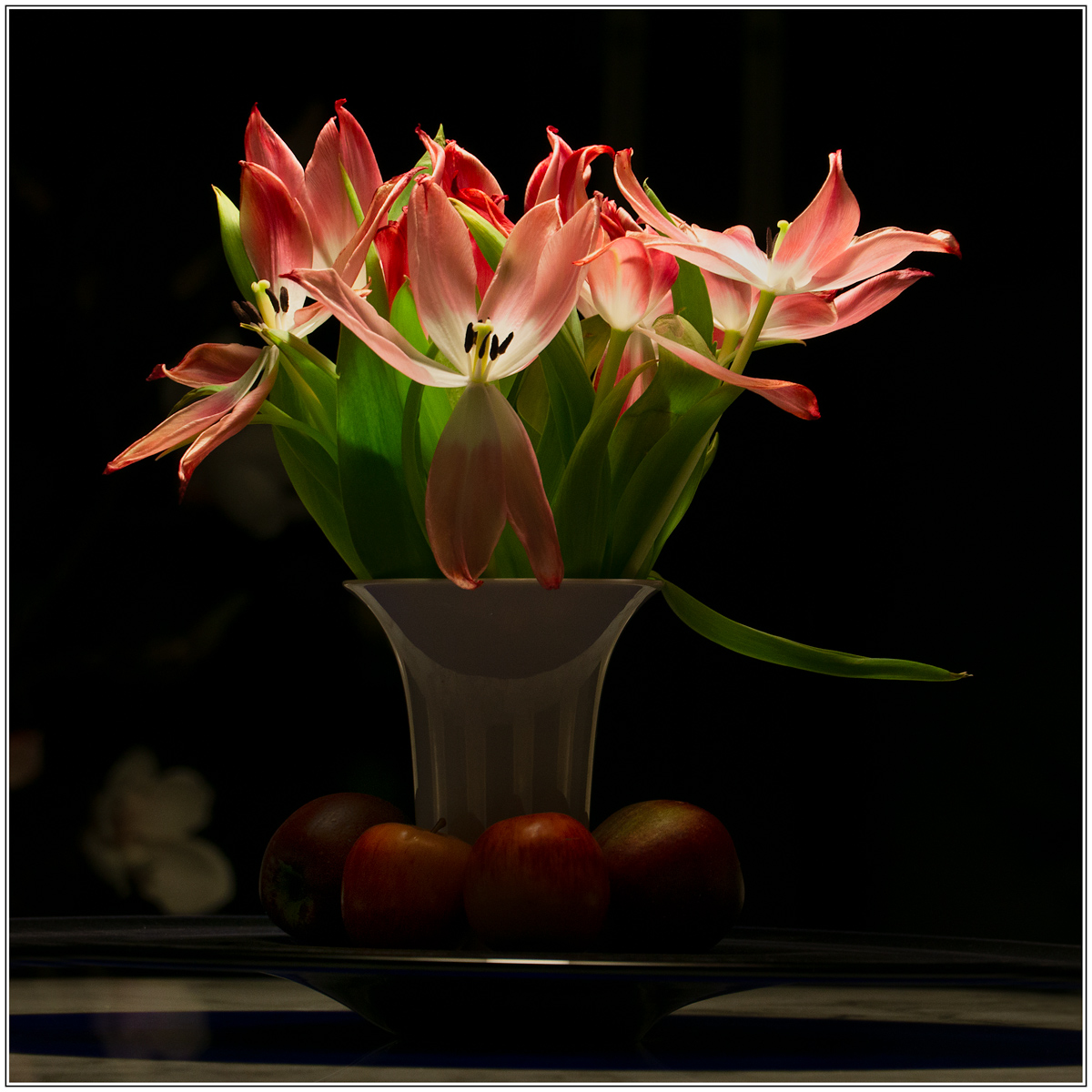 DSC0137 B PS w