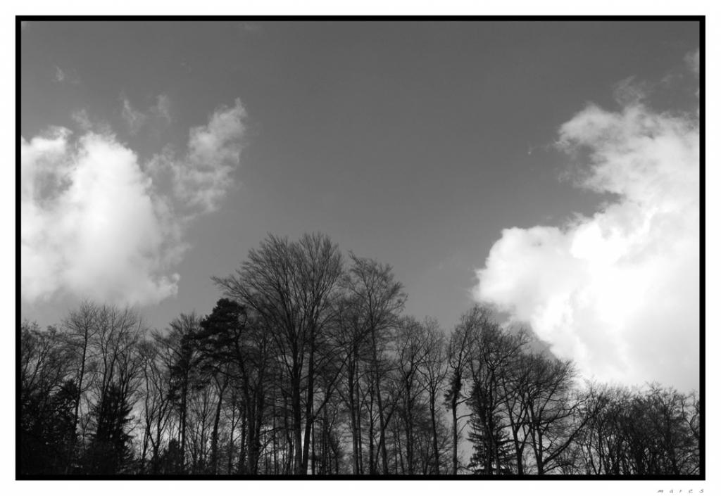 DSC0149a1