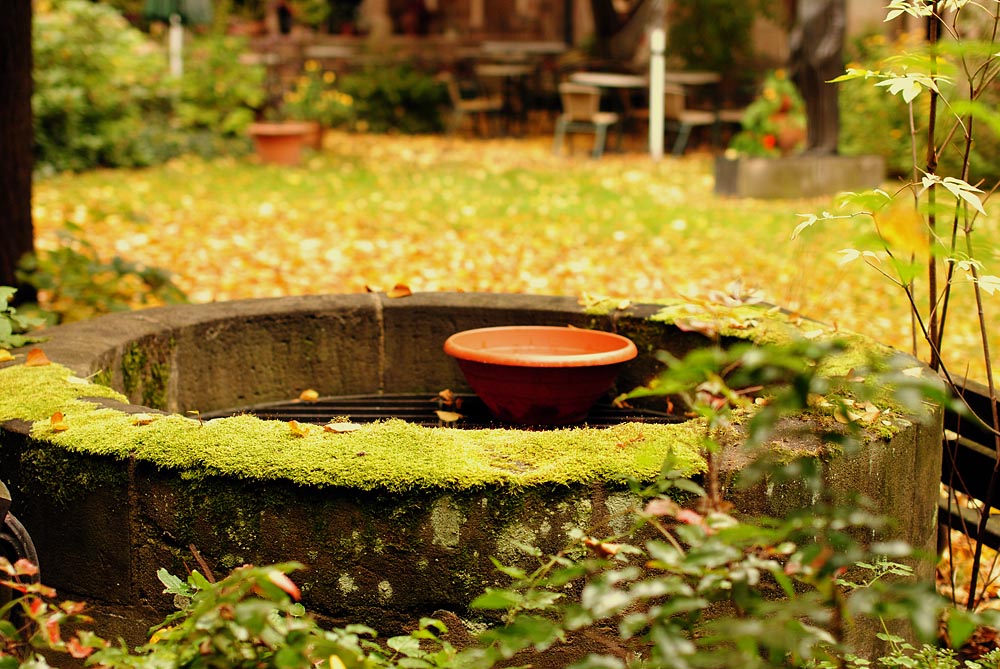 DSC0175