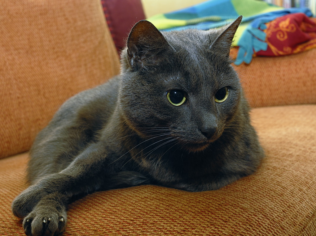DSC0182