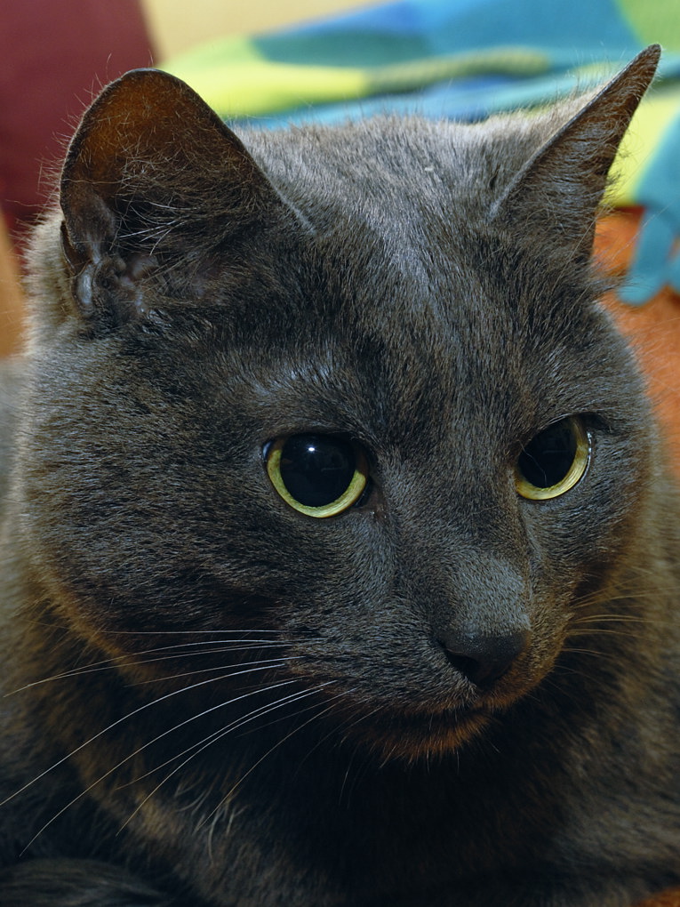 DSC0182c
