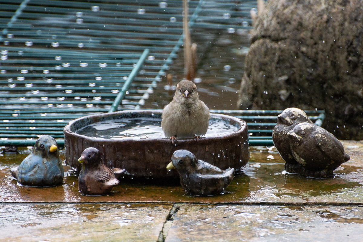 DSC0183