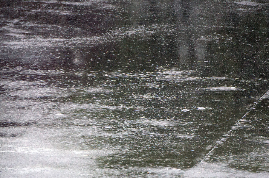 DSC01875