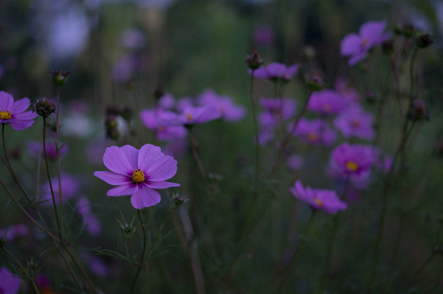 DSC01928