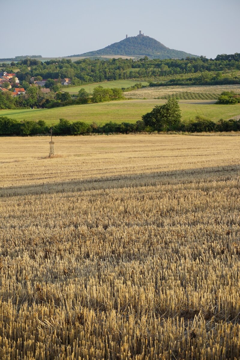DSC02018n.jpg