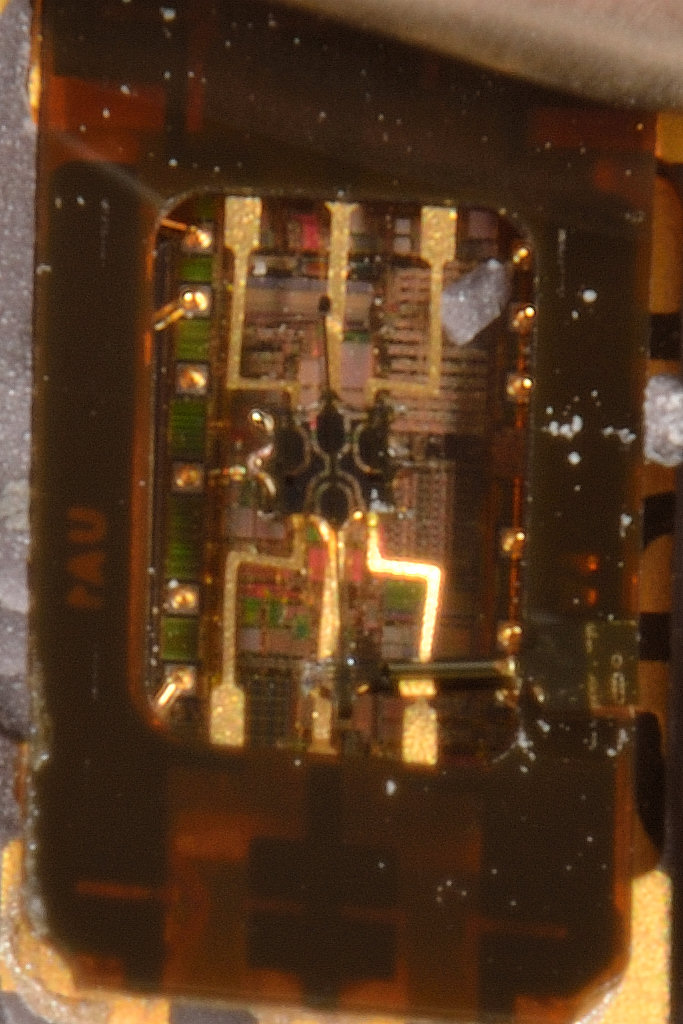 DSC02505