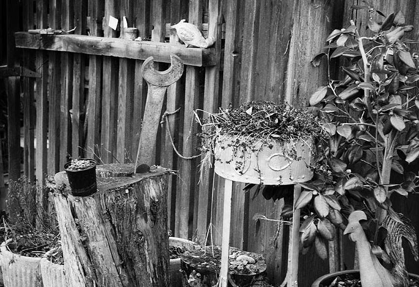 DSC0259a2
