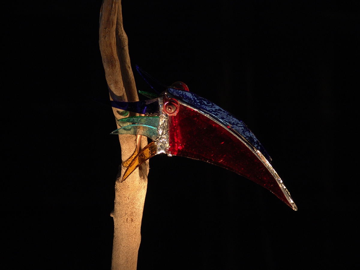 DSC02790-Kopie-2.jpg