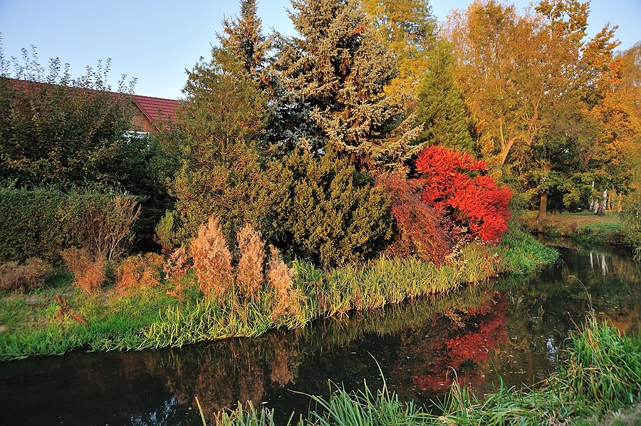 DSC0311