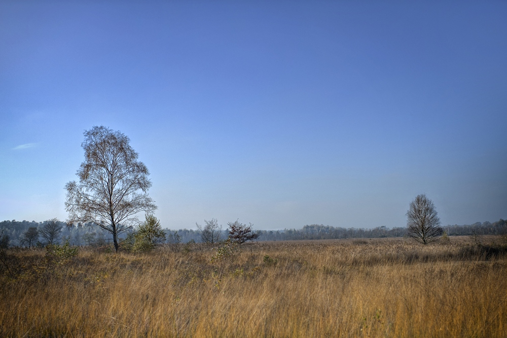 DSC0365 66 67 68 69 70 NFF