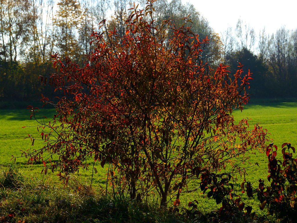 DSC03709