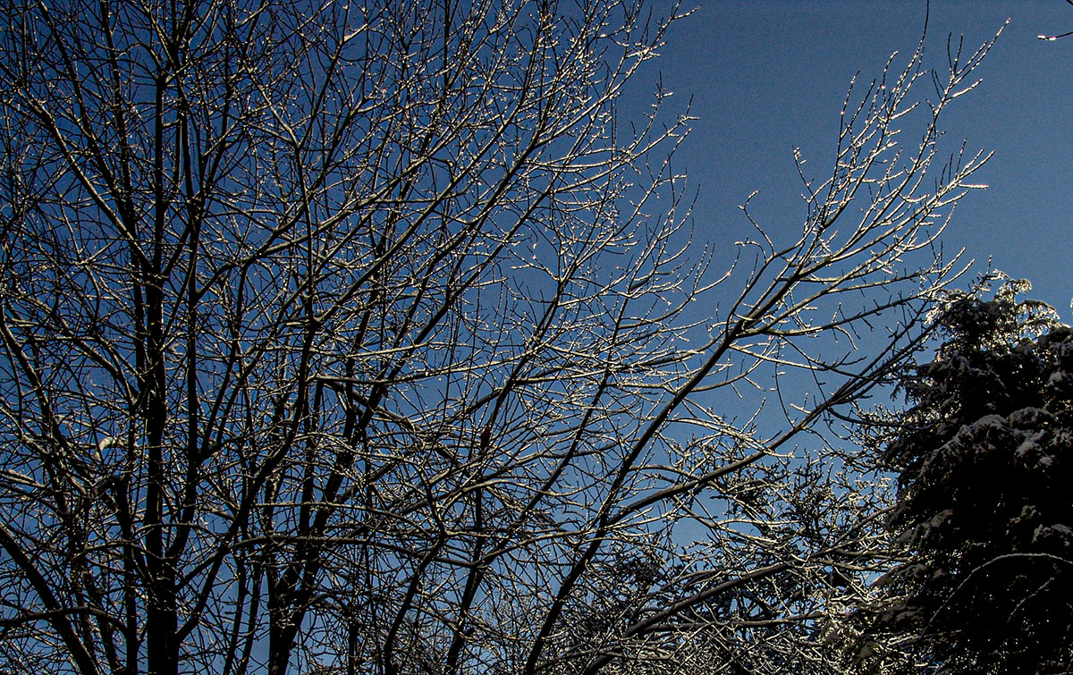 DSC03732.jpg