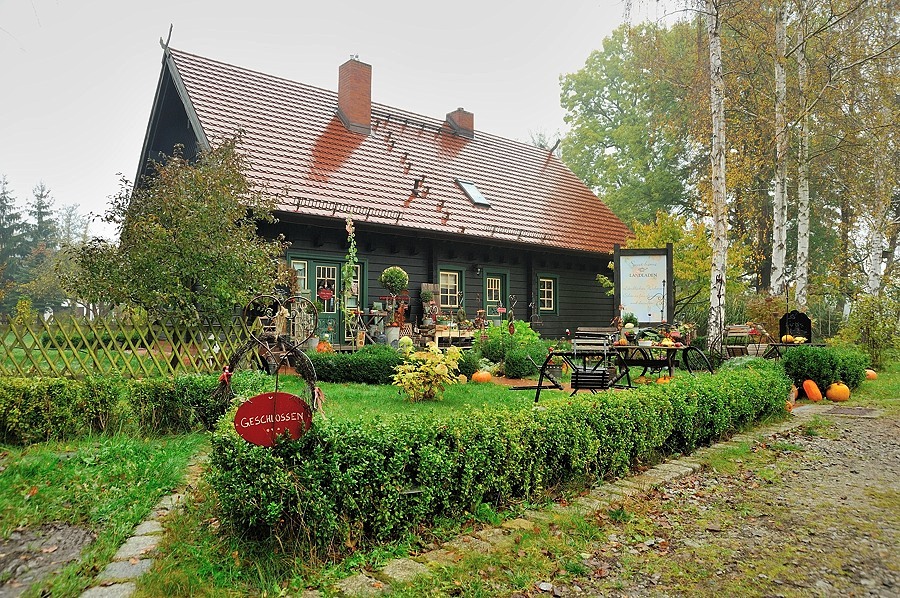 DSC0377