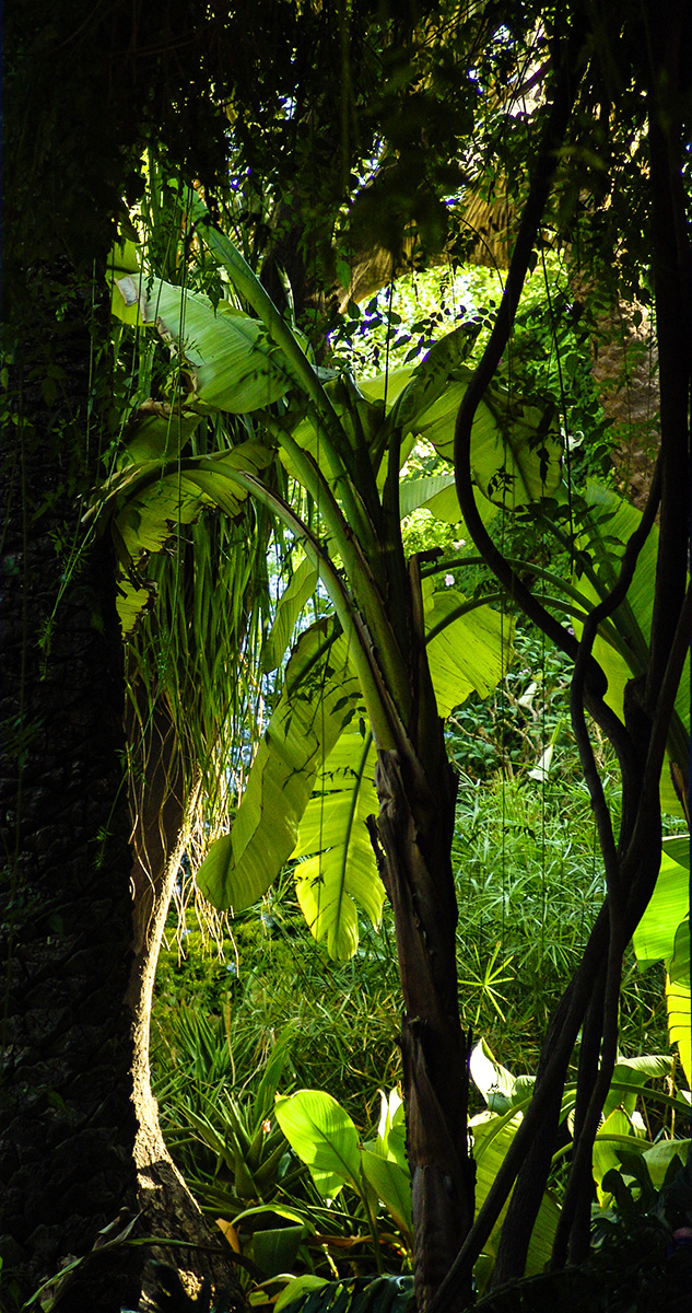 DSC04721.jpg