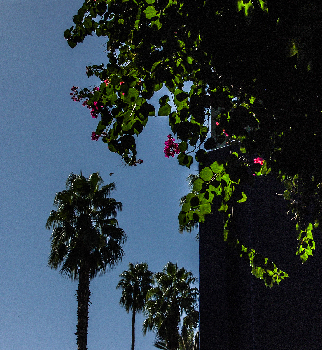 DSC04816.jpg
