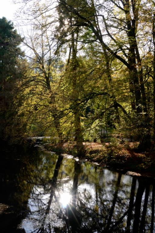 DSC0488