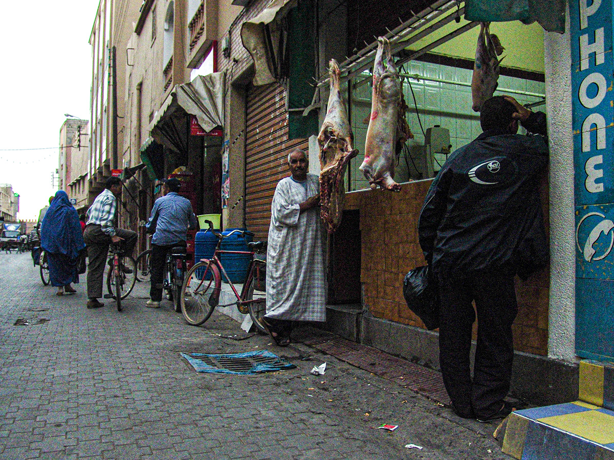 DSC05469.jpg