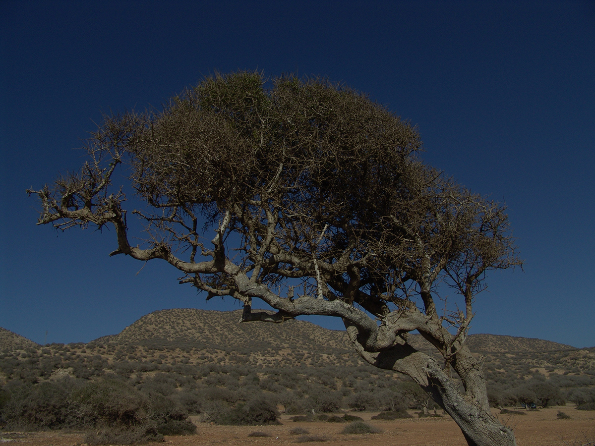 DSC05721-Bearbeitet.jpg