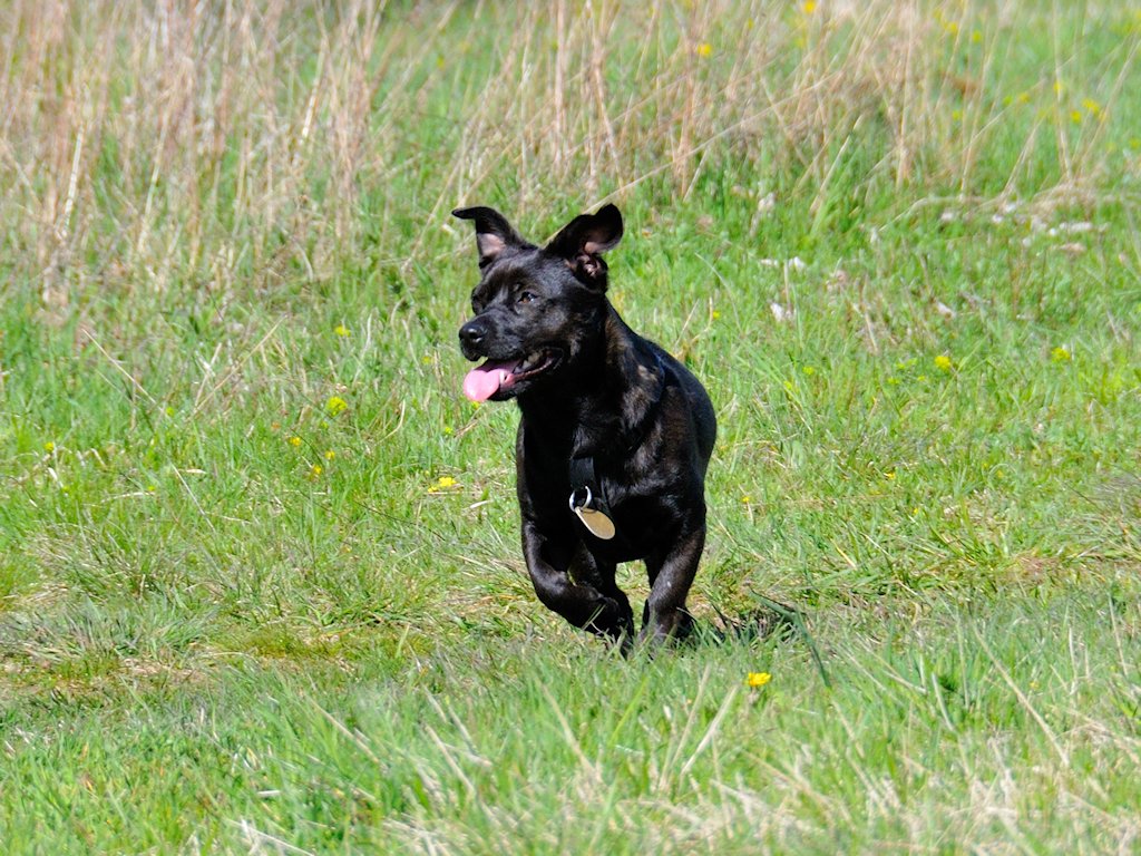 DSC05836