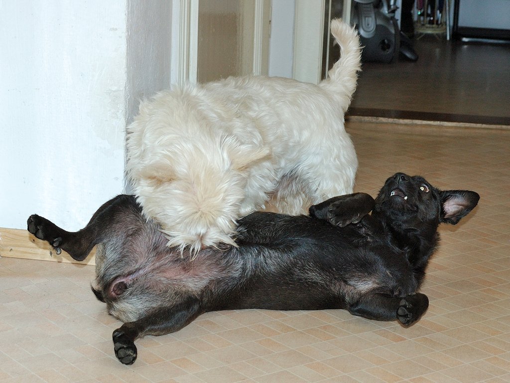 DSC05874