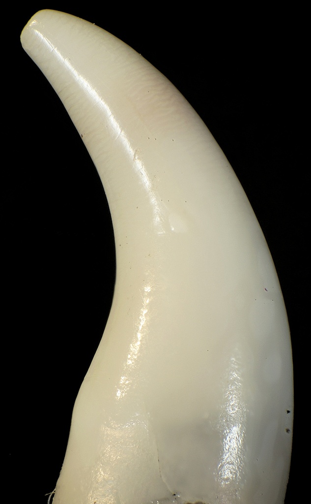 DSC06140