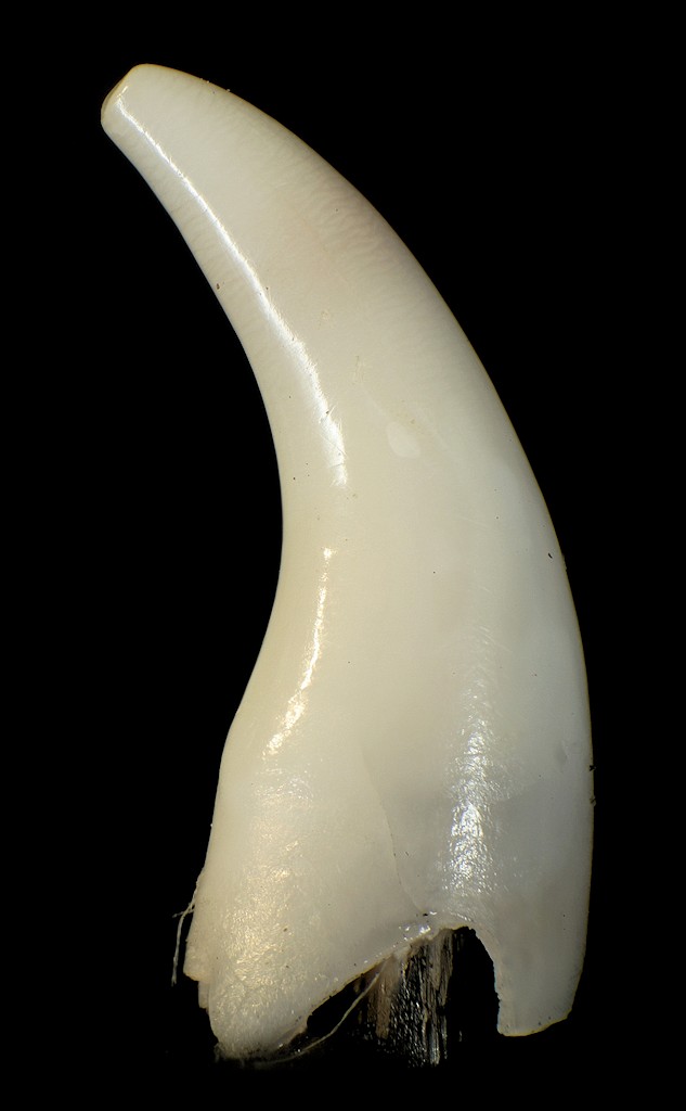 DSC06141